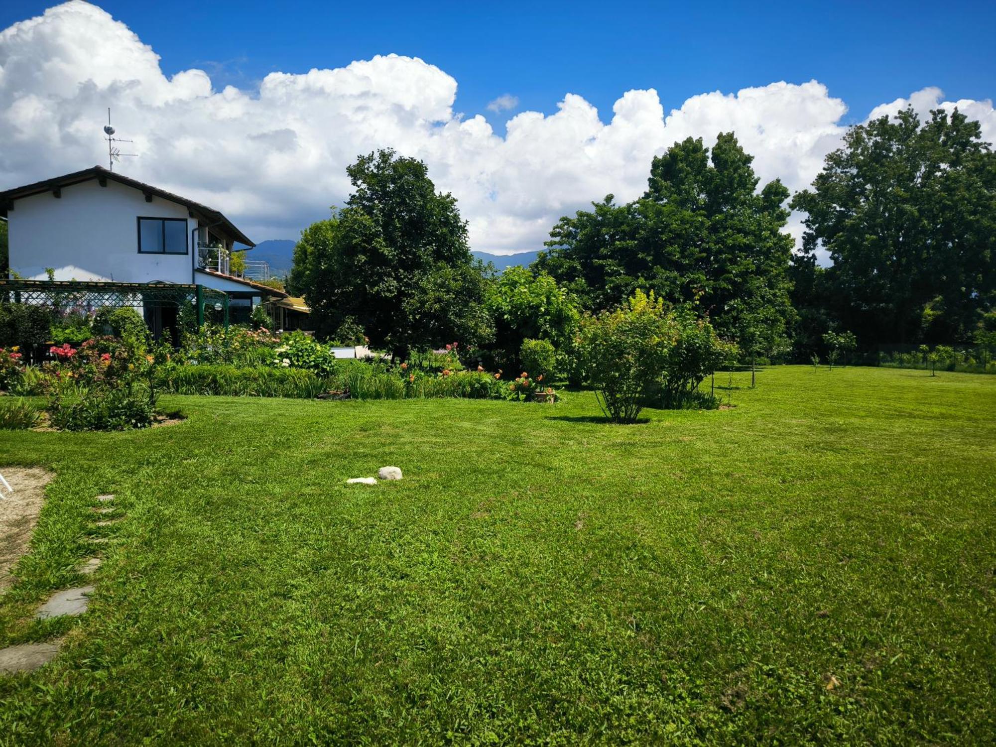 Versilia - Pietrasanta - Le Colmate Guesthouse Tonfano Eksteriør bilde