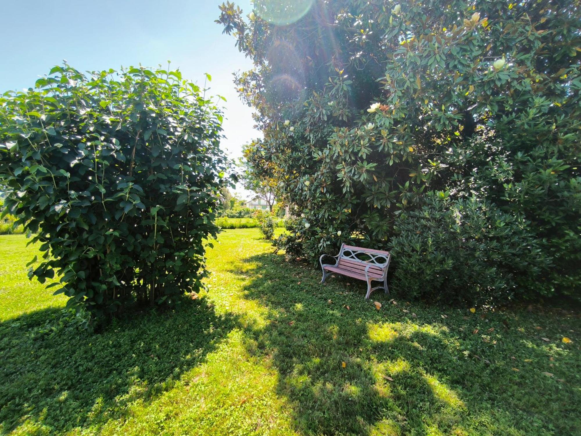 Versilia - Pietrasanta - Le Colmate Guesthouse Tonfano Eksteriør bilde