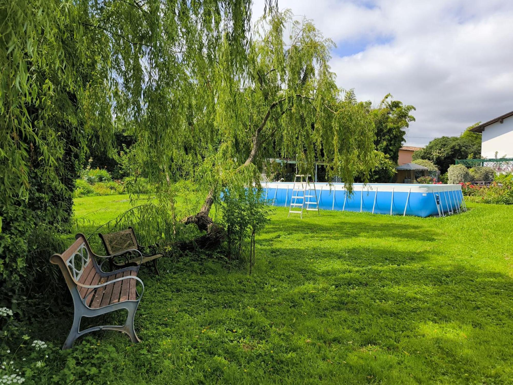 Versilia - Pietrasanta - Le Colmate Guesthouse Tonfano Eksteriør bilde