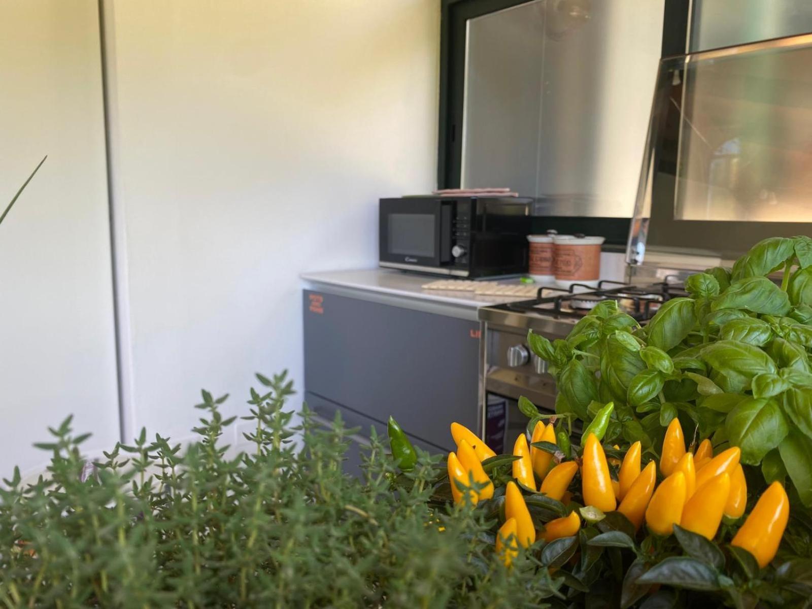Versilia - Pietrasanta - Le Colmate Guesthouse Tonfano Eksteriør bilde
